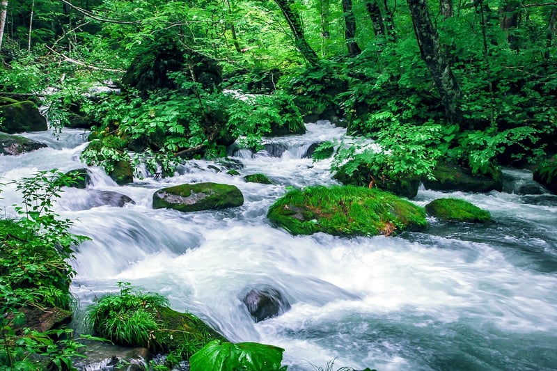 Shirakami Sanchi, Japan